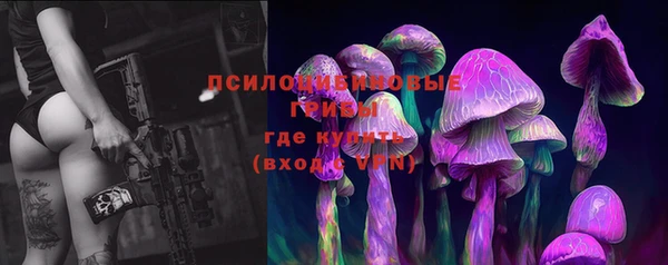 крисы Богородицк