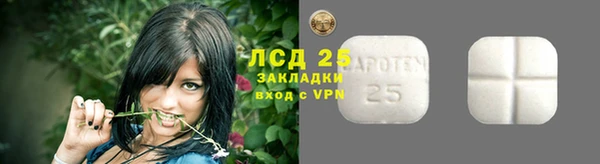 крисы Богородицк