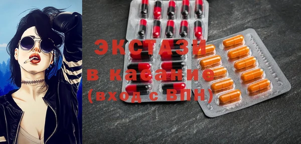 индика Бородино