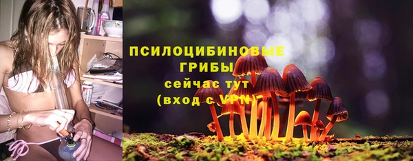 скорость Богданович