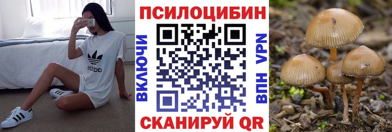 Галлюциногенные грибы MAGIC MUSHROOMS  наркота  Княгинино 